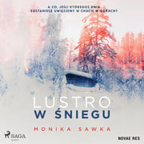 Lustro w sniegu