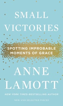 Small Victories - Spotting Improbable Moments of Grace