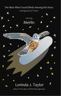 The Man Who Found Birds among the Stars, Part Six: Merlin - The Man Who Found Birds among the Stars, #6