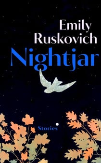 Nightjar - A stunning collection of stories from the prizewinning author, about the power of unexpected intuitions in ordinary lives