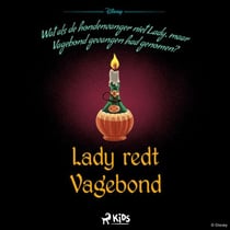 Een verdraaid verhaal - Lady redt Vagebond
