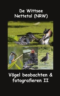 De Wittsee - Nettetal (NRW) - Vögel beobachten & fotografieren II