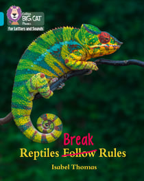 Reptiles Break Rules - Band 07/Turquoise