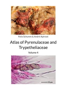Atlas of Pyrenulaceae and Trypetheliaceae Vol 4 - Lichenized Ascomycota
