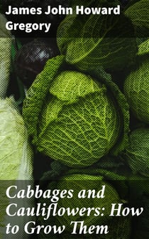 Cabbages and Cauliflowers: How to Grow Them - A Practical Treatise, Giving Full Details On Every Point, / Including Keeping And Marketing The Crop