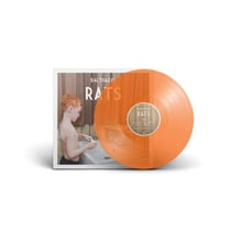 Rats - édition colorée
