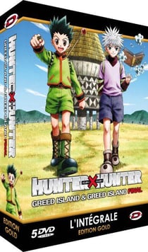 Coffret intégrale hunter x hunter : greed island and greed island final