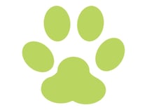 Mini perforatrice patte de chat - 1.6 cm