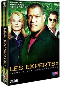 Les Experts - Saison 10 Vol. 1