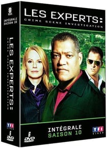 Les Experts - Saison 10