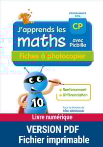 PDF J'apprends les maths avec Picbille CP - Fiches à photocopier - Renforcement et différenciation