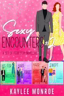 Sexy Encounters #2 (A Set of Four Sexy Novellas)