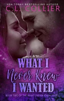 What I Never Knew I Wanted - What I Never Knew, #2