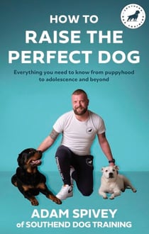 How to Raise the Perfect Dog - Everything you need to know from puppyhood to adolescence and beyond