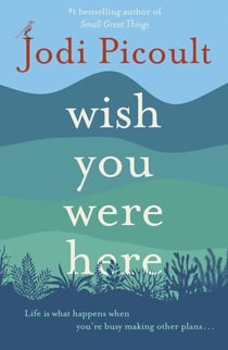Wish You Were Here - A completely gripping, unputdownable novel from the bestselling author of My Sister's Keeper