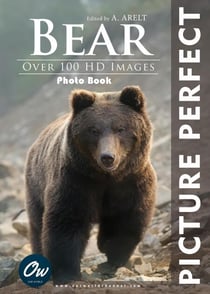 Bear - Picture Perfect Photo book