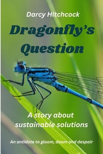 Dragonfly's Question