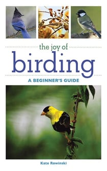 The Joy of Birding - A Beginner's Guide