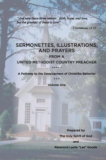 Sermonettes, Illustrations, and Prayers from a United Methodist Country Preacher - Country Preacher, #1