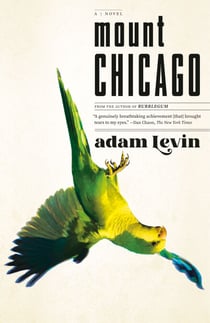 Mount Chicago - A Novel