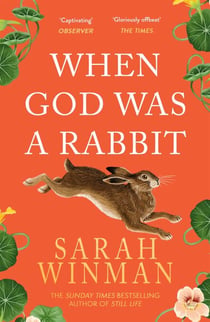 When God was a Rabbit - From the bestselling author of STILL LIFE