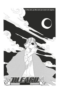Bleach - T05 - Chapitre 36 - Nous autres, qui allons mourir pour assouvir cette vengeance...