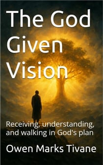 The God Given Vision: Receiving, Understanding, and Walking In God's Plan