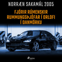 Fjórir rúmenskir rummungsþjófar í orlofi í Danmörku