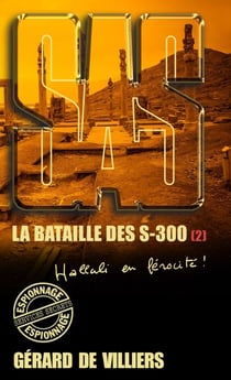 SAS 179 La bataille des S-300 T2