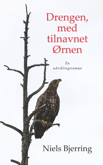 Drengen, med tilnavnet Ørnen - En udviklingsroman