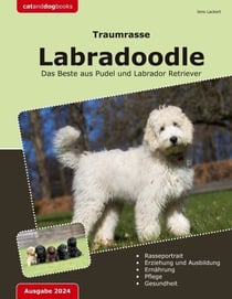 Traumrasse: Labradoodle - Das Beste aus Pudel und Labrador Retriever