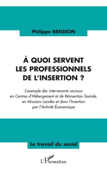 A quoi servent les professionnels de l'insertion ? - L'exemple des intervenants sociaux en Centres d'Hébergement et de Réinsertion Sociale, en Missions Locales et dans l'Insertion par l'Activité Economique