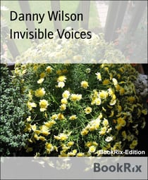 Invisible Voices
