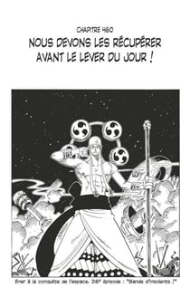 One Piece édition originale - Chapitre 460 - Nous devons les récupérer avant le lever du jour !