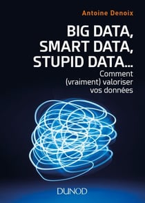 Big Data, Smart Data, Stupid Data... - Comment (vraiment) valoriser vos données