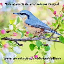 Sons apaisants de la nature (sans musique) pour un sommeil profond, la méditation et la détente - douce pluie, sources chaudes, récital d'oiseaux chanteurs, stridulations des grillons, tempêtes tropicales, sons de la mer