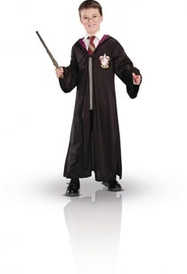 Déguisement - Harry Potter