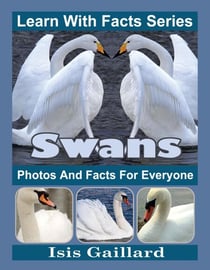 Swans Photos and Facts for Everyone - Learn With Facts Series, #71
