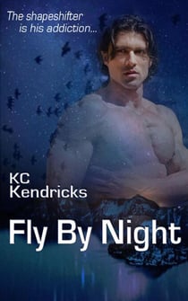 Fly By Night - The Sundown Saga, #5