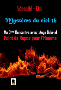 Mystères du ciel Tome 16 - Ma 5ème rencontre avec l’ange Gabriel, Point de repos pour l’homme