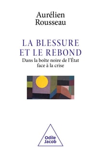 La Blessure et le Rebond - Dans la boîte noire de l'État face à la crise