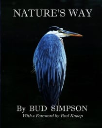 Nature's Way: The Great Blue Heron - Nature's Way
