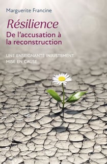 Résilience - De l'accusation à la reconstruction - Une enseignante injustement mise en cause
