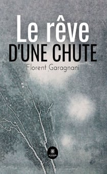 Le rêve d’une chute