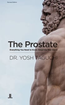 The Prostate - Everything You Need to Know About the Man Gland