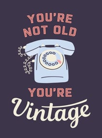 You're Not Old, You're Vintage - Joyful Quotes for the Young At Heart