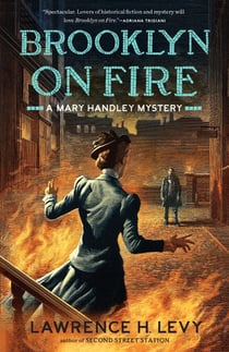 Brooklyn on Fire - A Mary Handley Mystery