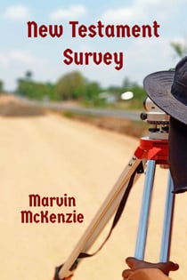 New Testament Survey