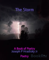 The Storm - A Book of Poetry