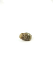 Pierre chlorite quartz fantôme - 2 à 4 cm